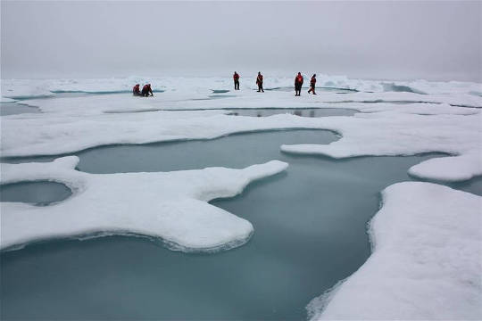 Scientists on Arctic sea ice in the Chukchi Sea, surrounded by melt ponds, July 4, 2010.