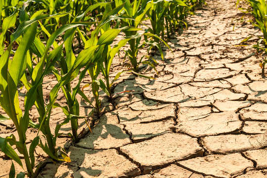 On Dangerous Ground: Land Degradation Is Turning Soils Into Deserts