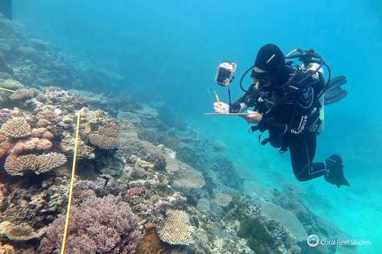 Two Reef Scientists Share Their Climate Grief