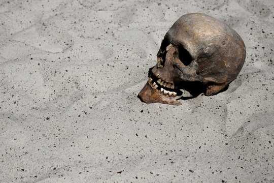 Will Climate Change Cause Humans To Go Extinct?