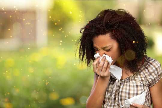 Still Sneezing? Climate Change May Prolong Allergy Season