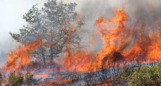 Why Wildfire Health Hazards Extend Hundreds Of Miles
