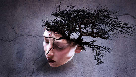 woman's head with a crack and with tree growing from the back of her head