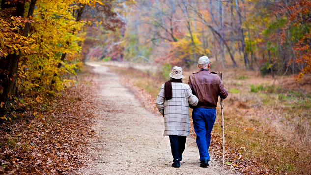 an elderly couple walking in nature, arm in arm