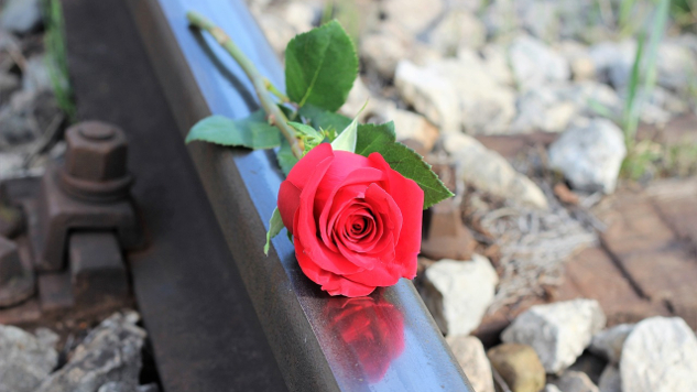a red rose laying on a railroad track