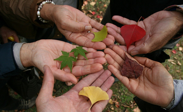 a circle of open hands each holding a leaf with a different color and shape
